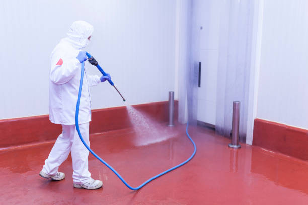 Best House Exterior Washing  in Medford, WI
